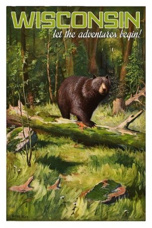 Bear Wisconsin WIPB - Framed Artwork from Interior Elements, Eagle WI