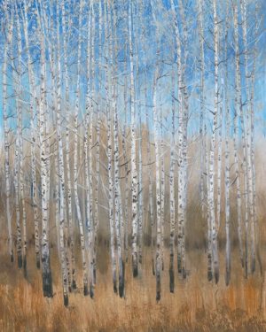 Birch Trees SSSB1 - Framed Scenery Artwork from Interior Elements, Eagle WI