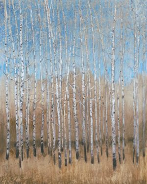 Birch Trees SSSB2 - Framed Scenery Artwork from Interior Elements, Eagle WI