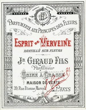 Cosmetic Label - Esprit de Xerveine CL2 - Framed Vintage Artwork from Interior Elements, Eagle WI