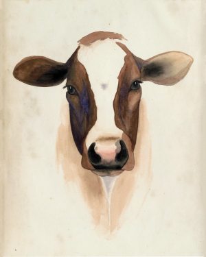 Cow SSWC - Framed Artwork from Interior Elements, Eagle WI