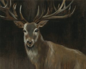 Deer SSD1 - Framed Artwork from Interior Elements, Eagle WI