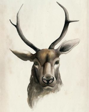 Deer SSWD1 - Framed Artwork from Interior Elements, Eagle WI