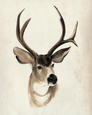 Deer SSWD2 - Framed Artwork from Interior Elements, Eagle WI