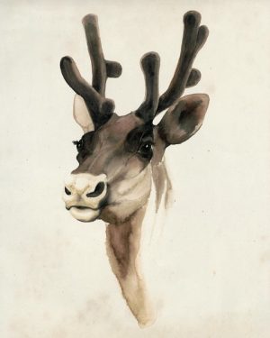 Deer SSWD3 - Framed Artwork from Interior Elements, Eagle WI