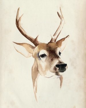 Deer SSWD4 - Framed Artwork from Interior Elements, Eagle WI