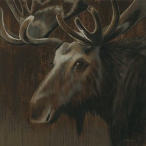 Moose SSM - Framed Artwork from Interior Elements, Eagle WI