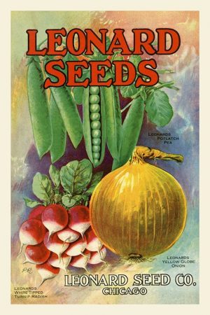 Seed Catalog Cover BotSCC13 - Framed Vintage Artwork from Interior Elements, Eagle WI