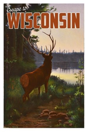 Wisconsin Elk WPE - Framed Artwork from Interior Elements, Eagle WI