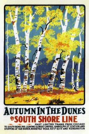 Chicago-South-Shore-Line-Autumn-in-the-Dunes-CHISS1 - Framed Artwork from Interior Elements, Eagle, WI
