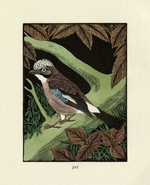 Daglish-Birds-BDB2 - Framed Artwork from Interior Elements, Eagle, WI