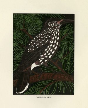 Daglish-Birds-BDB6 - Framed Artwork from Interior Elements, Eagle, WI