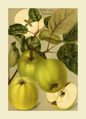 Fruit-Apple-FfFF11 - Framed Vintage Artwork from Interior Elements, Eagle WI