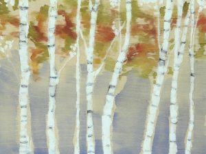 Trees-Swaying-Birches-SSSbir1a - Framed Artwork from Interior Elements, Eagle, WI