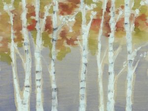 Trees-Swaying-Birches-SSSbir2a - Framed Artwork from Interior Elements, Eagle, WI