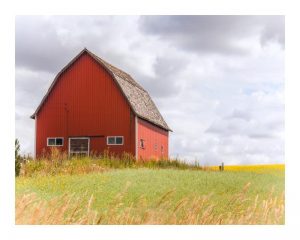 Red Barn 16x20 Framed Artwork from Interior Elements, Eagle WI