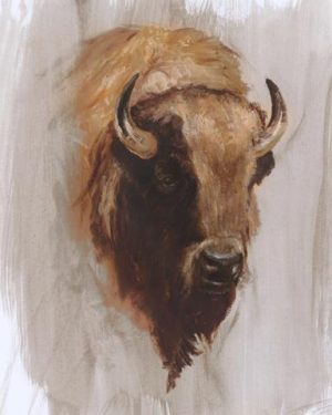 Western Animal Study Buffalo