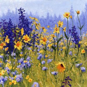 Yellow & Purple Prairie