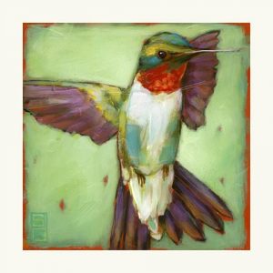 Colorful Hummingbirds 4