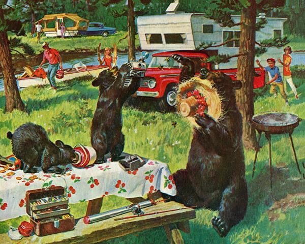 Bears - Camping Chaos