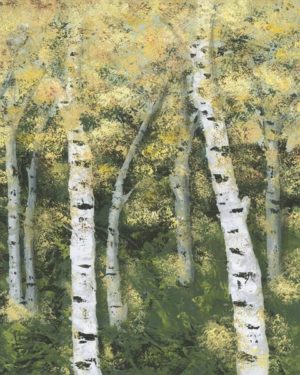 Birch Treeline