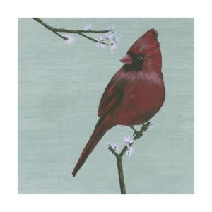 Bird-Red IV