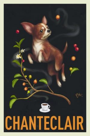 European poster-chihuahua