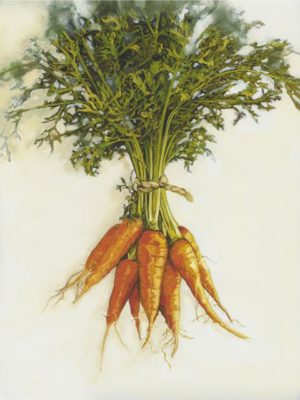 Vegetables Carrots