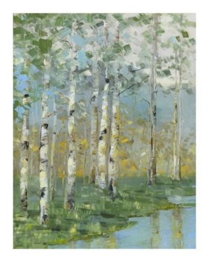 Birches by Lake