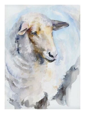 Sheep Head Watercolor