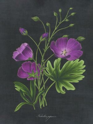 Bold Botanical Series-Purple
