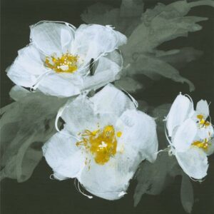 Luminous White Flowers II