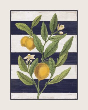 Lemons with Stripes 1