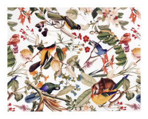 FLoral and Birds