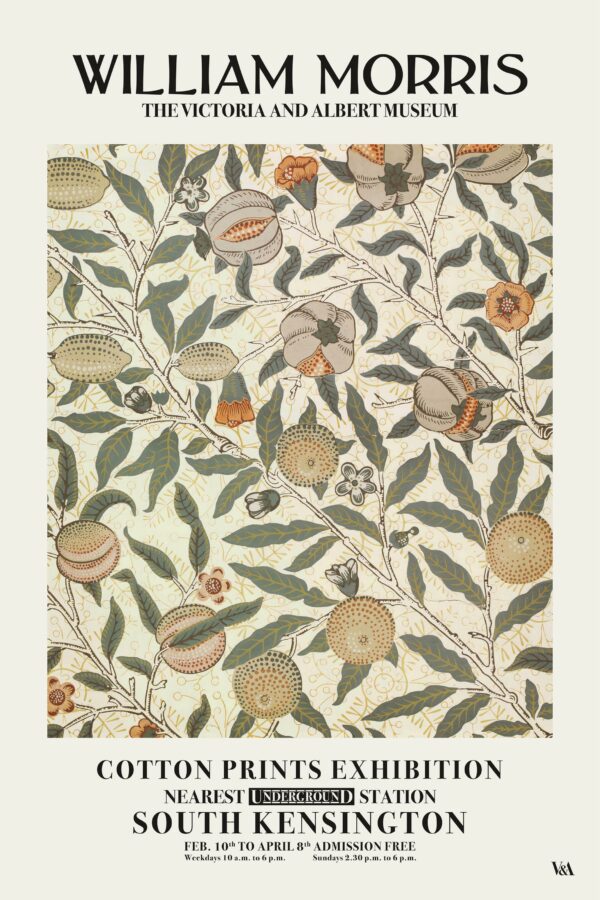 William Morris 41